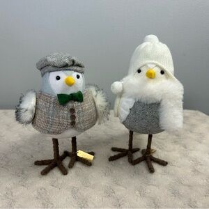 Target Wondershop Featherly Friends Winter Birds Dewy & Flurry White Gray 2021